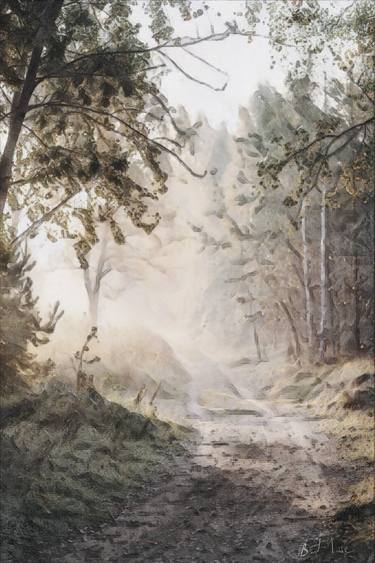 Original Landscape Paintings by Michael Bradley