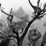 Collection New Landscape Photography