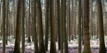 tuned landscapes 3-35 - Limited Edition of 5 thumb