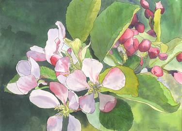Original Floral Paintings by Phil Davis