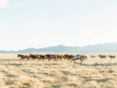 Original Fine Art Horse Photography by KT Merry