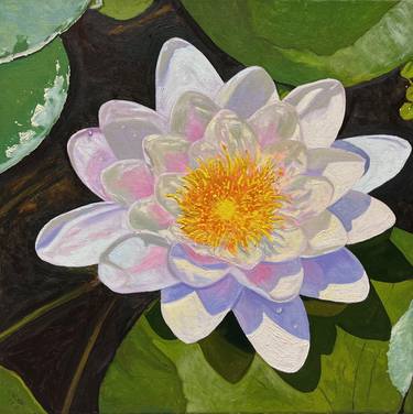 Original Floral Paintings by Gary Westall