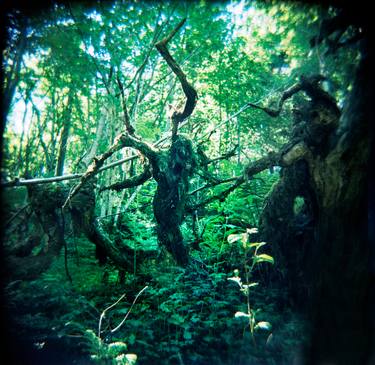 Original Fine Art Fantasy Photography by Kjell Brustad
