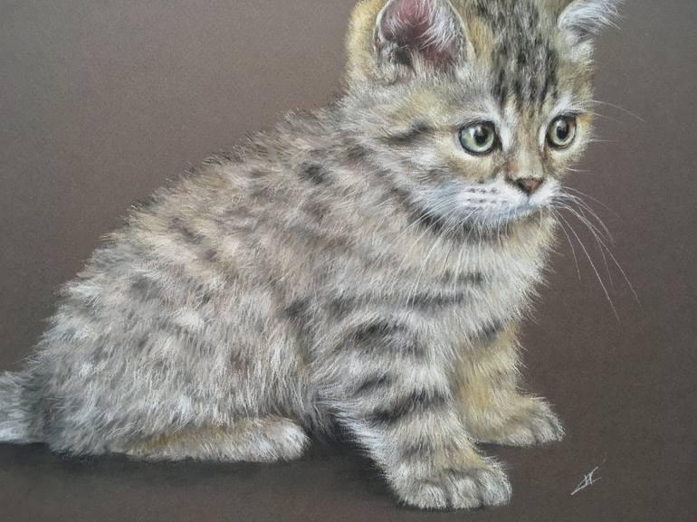 Original Realism Animal Drawing by Juan Pastor de la Puente