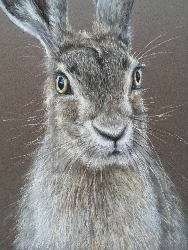 Original Realism Animal Drawing by Juan Pastor de la Puente