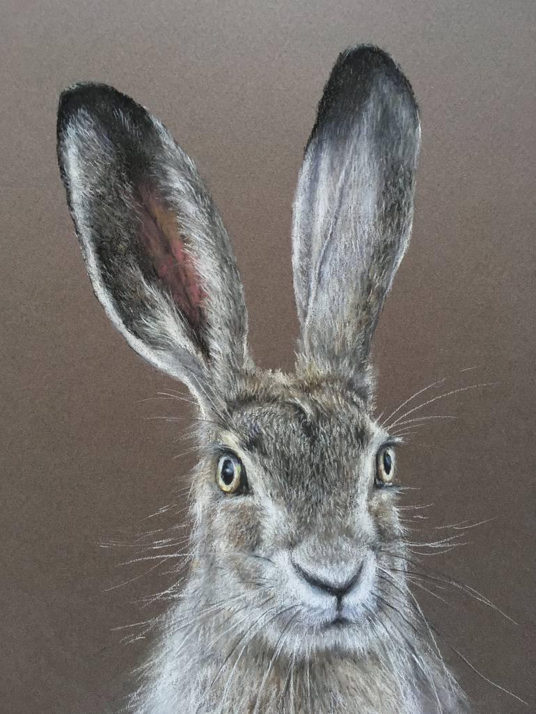 Original Realism Animal Drawing by Juan Pastor de la Puente