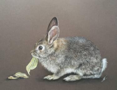 Original Realism Animal Drawings by Juan Pastor de la Puente