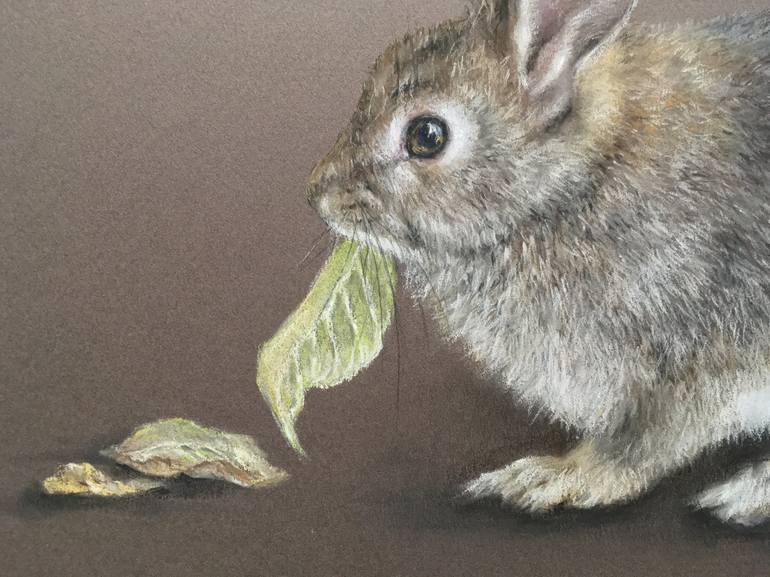 Original Realism Animal Drawing by Juan Pastor de la Puente