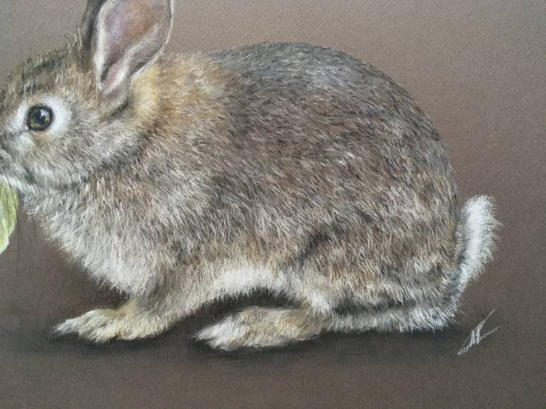 Original Realism Animal Drawing by Juan Pastor de la Puente