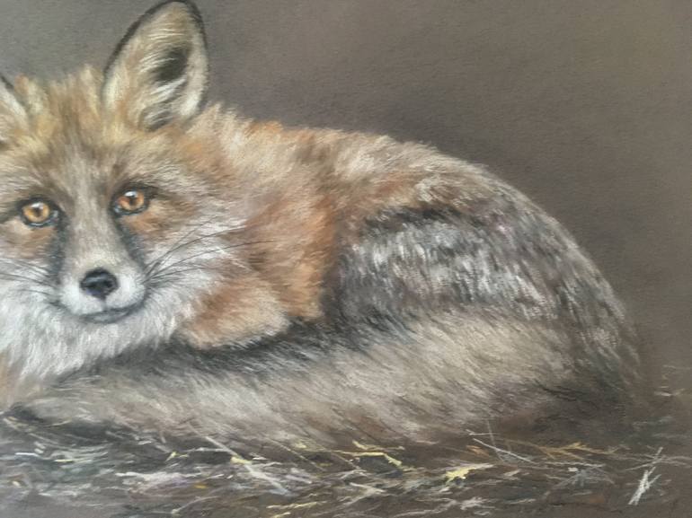 Original Realism Animal Drawing by Juan Pastor de la Puente