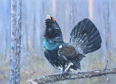 Capercaillie. Forest bird. thumb