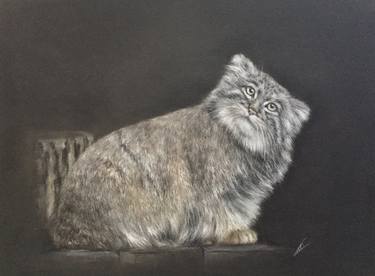 Original Realism Animal Drawings by Juan Pastor de la Puente