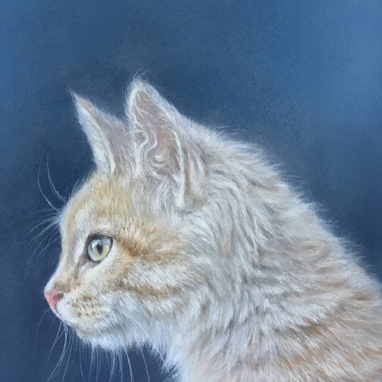 Original Realism Animal Drawing by Juan Pastor de la Puente