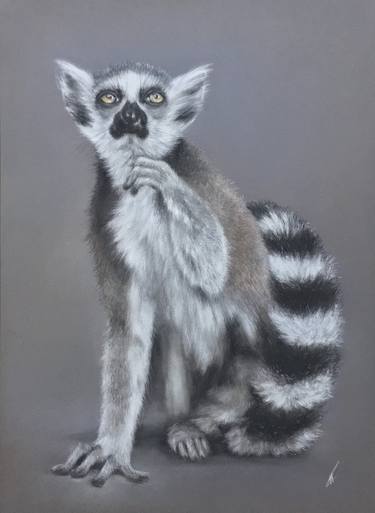 Original Realism Animal Drawings by Juan Pastor de la Puente