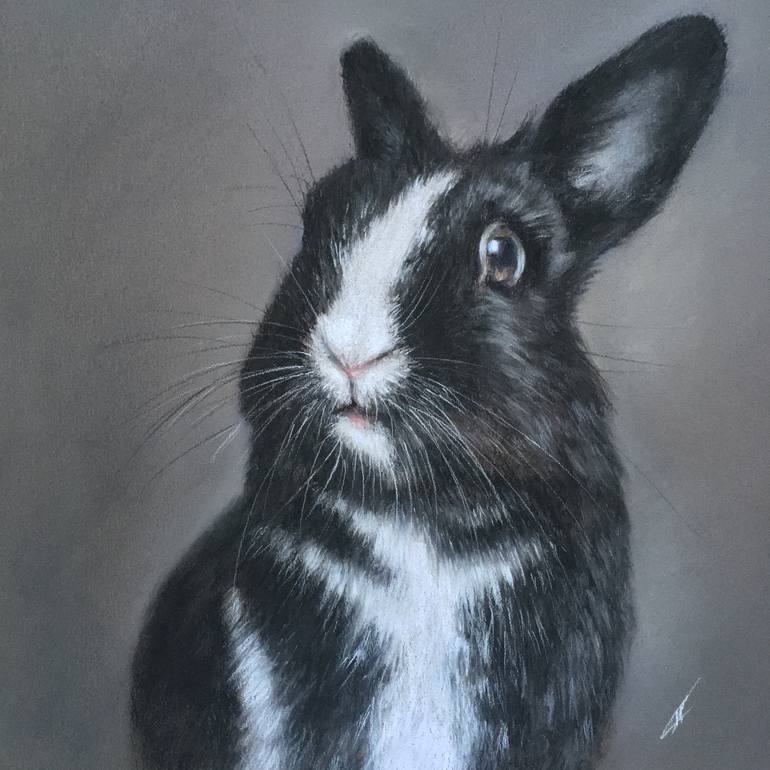 Original Realism Animal Drawing by Juan Pastor De La Puente