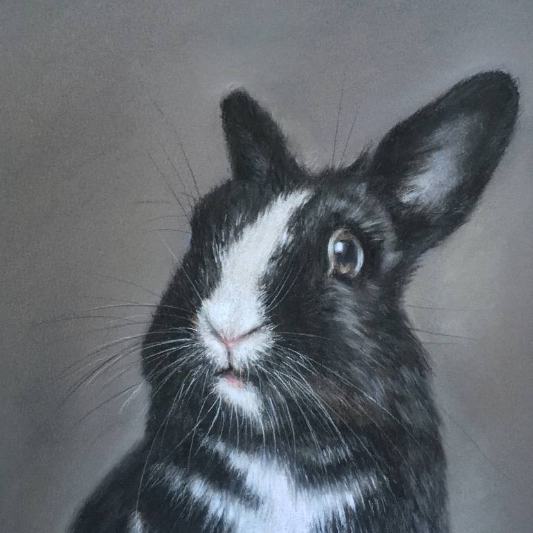 Original Realism Animal Drawing by Juan Pastor De La Puente
