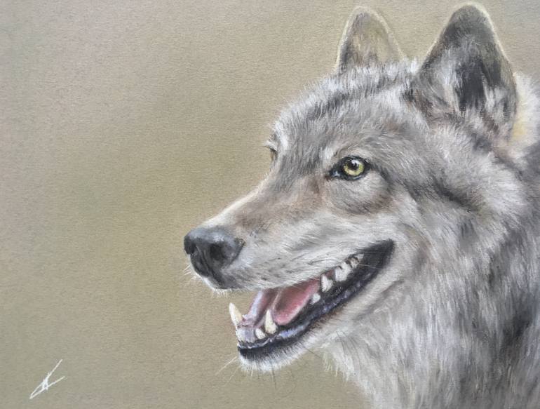 Original Realism Animal Drawing by Juan Pastor De La Puente