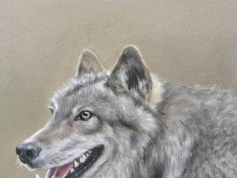 Original Realism Animal Drawing by Juan Pastor De La Puente