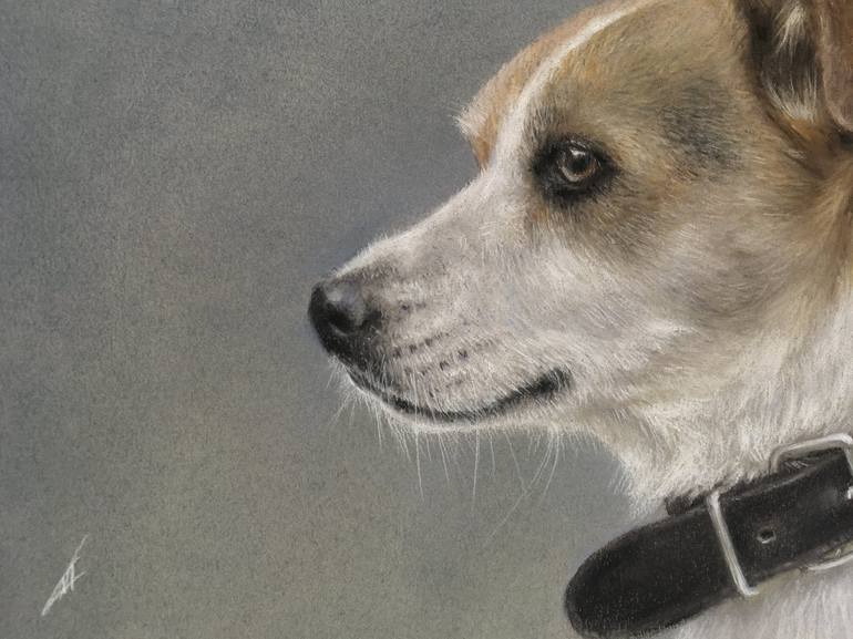 Original Realism Animal Drawing by Juan Pastor De La Puente