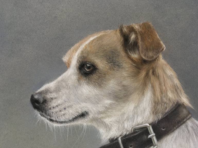 Original Realism Animal Drawing by Juan Pastor De La Puente