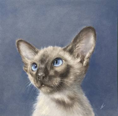 Original Realism Animal Drawings by Juan Pastor de la Puente