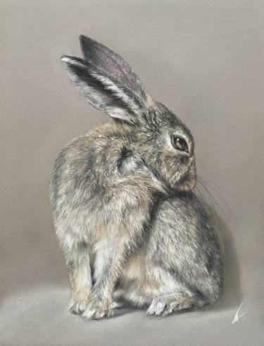 Hare portrait thumb