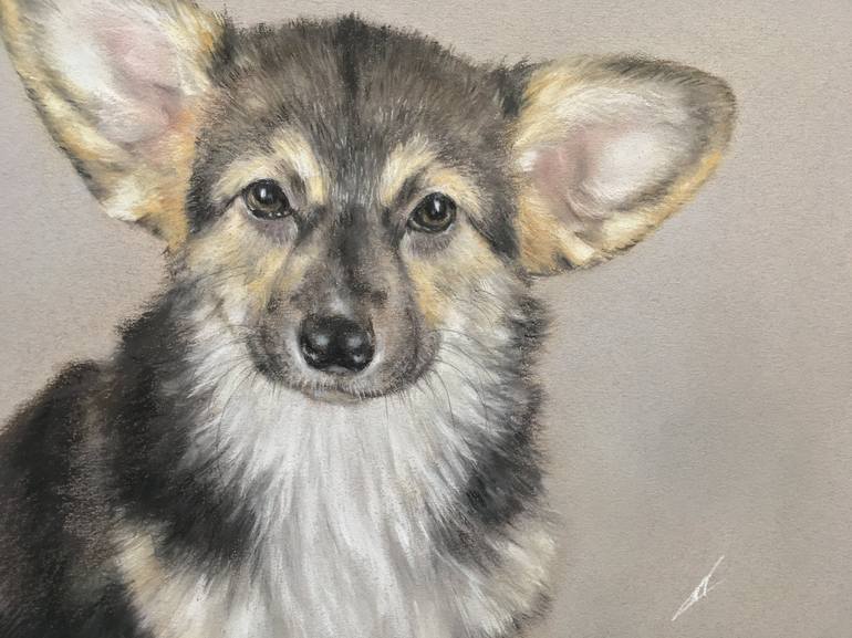 Original Realism Animal Drawing by Juan Pastor de la Puente