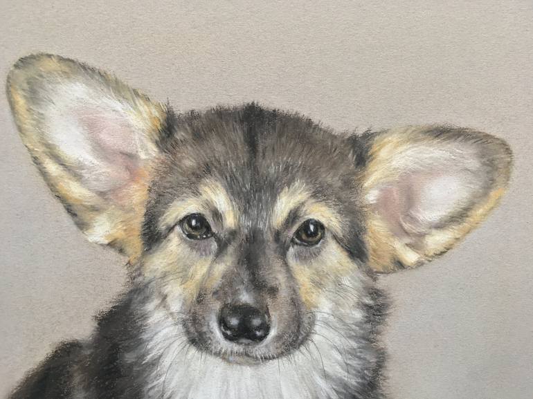 Original Realism Animal Drawing by Juan Pastor de la Puente