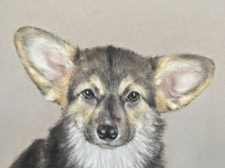 Original Realism Animal Drawing by Juan Pastor de la Puente