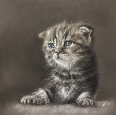 Original Realism Animal Drawings by Juan Pastor de la Puente