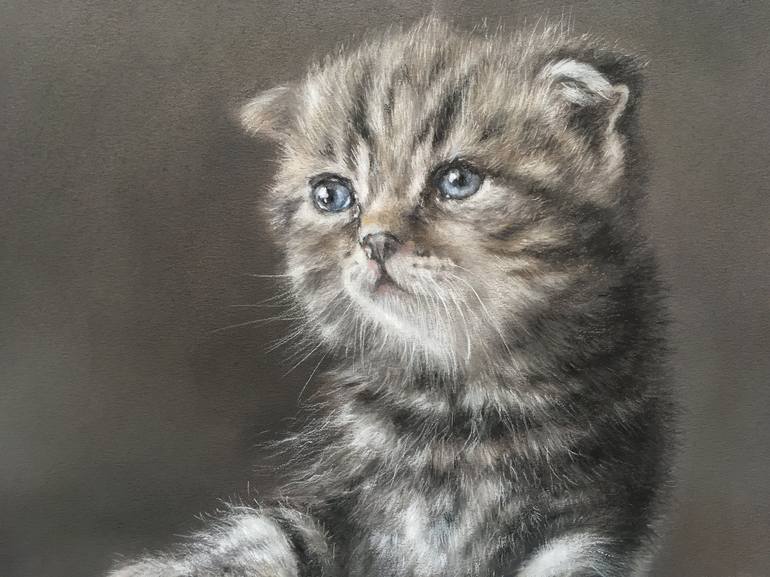 Original Realism Animal Drawing by Juan Pastor de la Puente