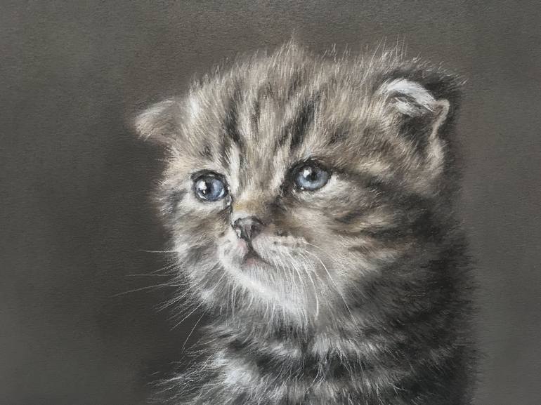 Original Realism Animal Drawing by Juan Pastor de la Puente