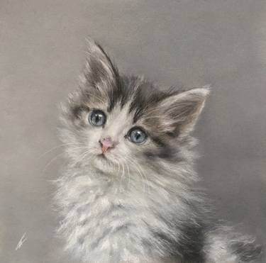 Original Realism Animal Drawings by Juan Pastor de la Puente