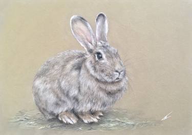 Original Realism Animal Drawings by Juan Pastor de la Puente