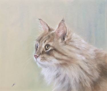 Print of Realism Animal Drawings by Juan Pastor de la Puente