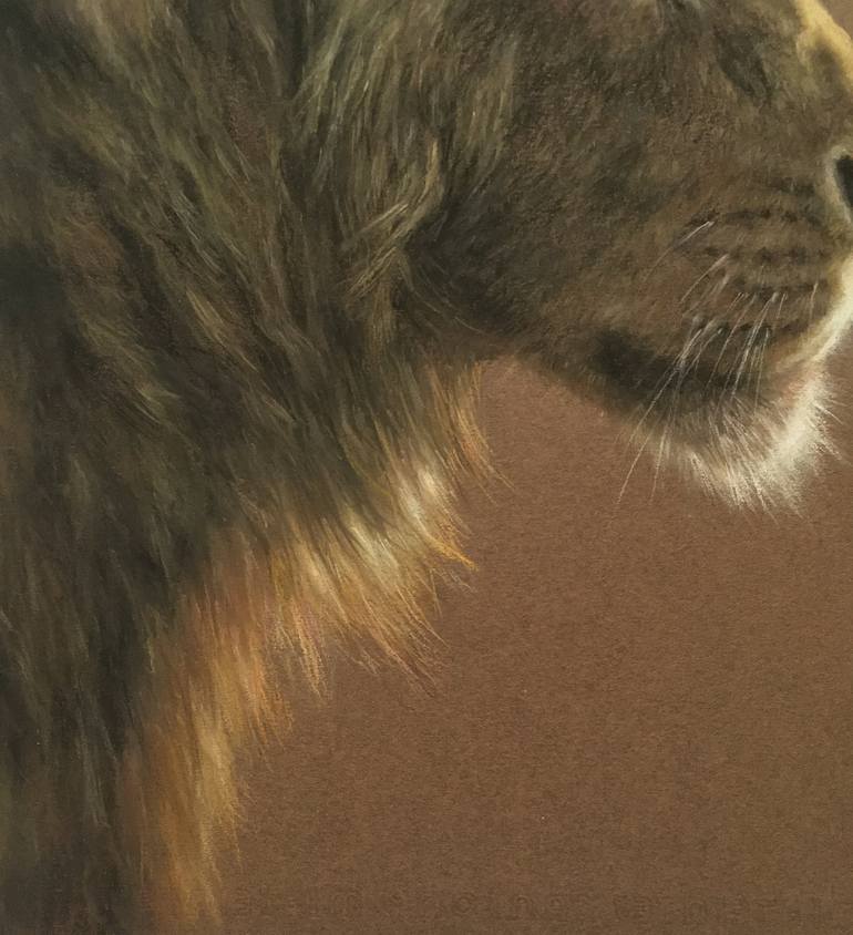 Original Realism Animal Drawing by Juan Pastor de la Puente