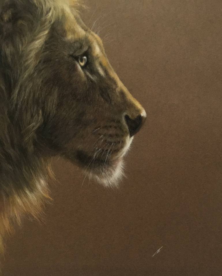 Original Realism Animal Drawing by Juan Pastor de la Puente