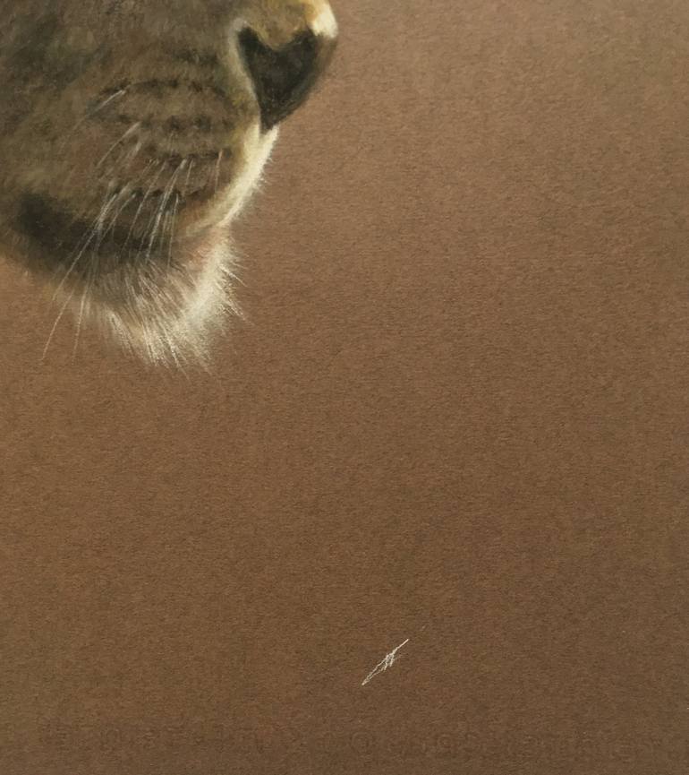 Original Animal Drawing by Juan Pastor de la Puente