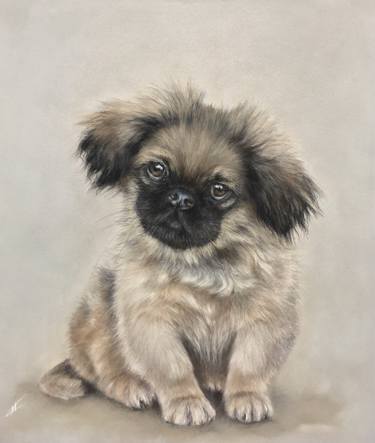 Print of Realism Animal Drawings by Juan Pastor de la Puente