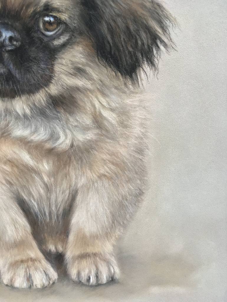 Original Realism Animal Drawing by Juan Pastor de la Puente