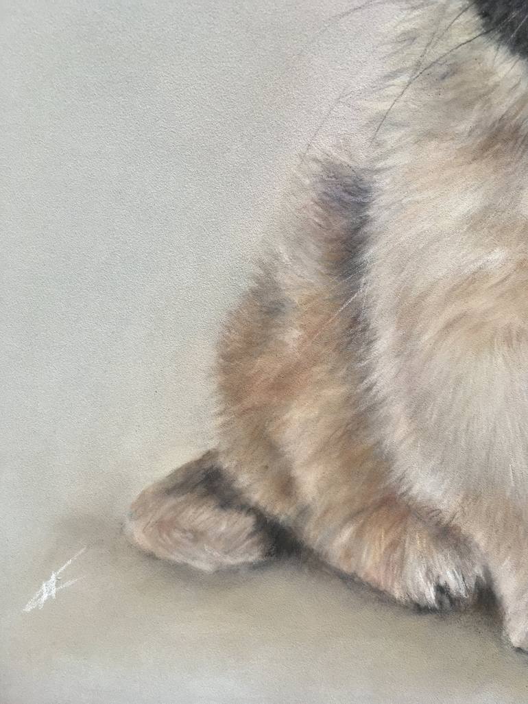 Original Realism Animal Drawing by Juan Pastor de la Puente