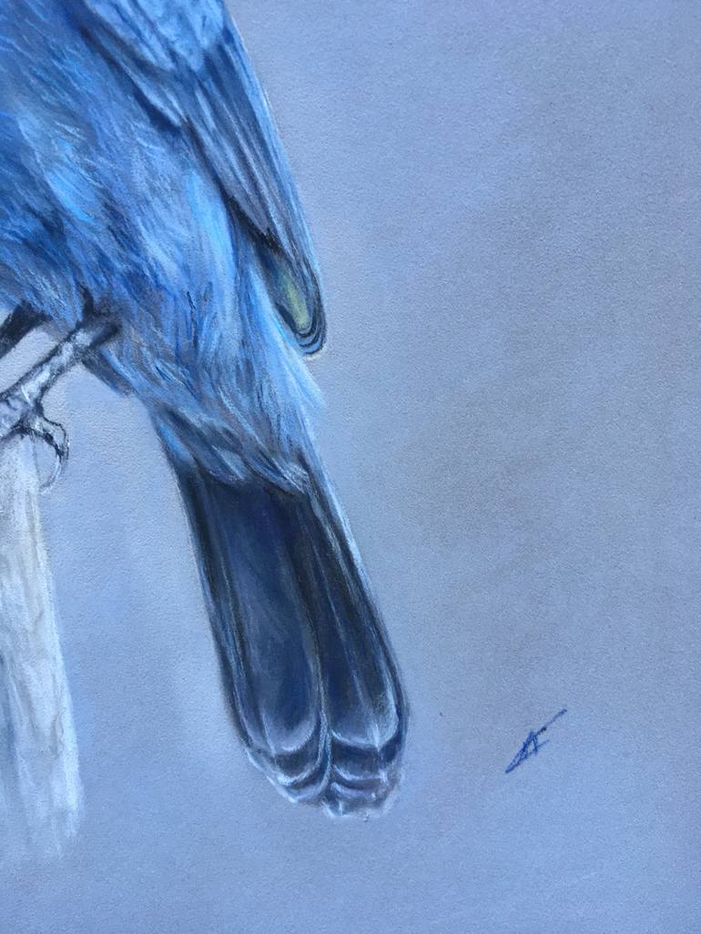 Original Realism Animal Drawing by Juan Pastor de la Puente