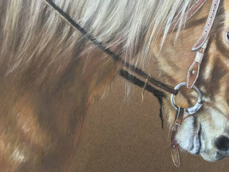 Original Realism Animal Drawing by Juan Pastor de la Puente