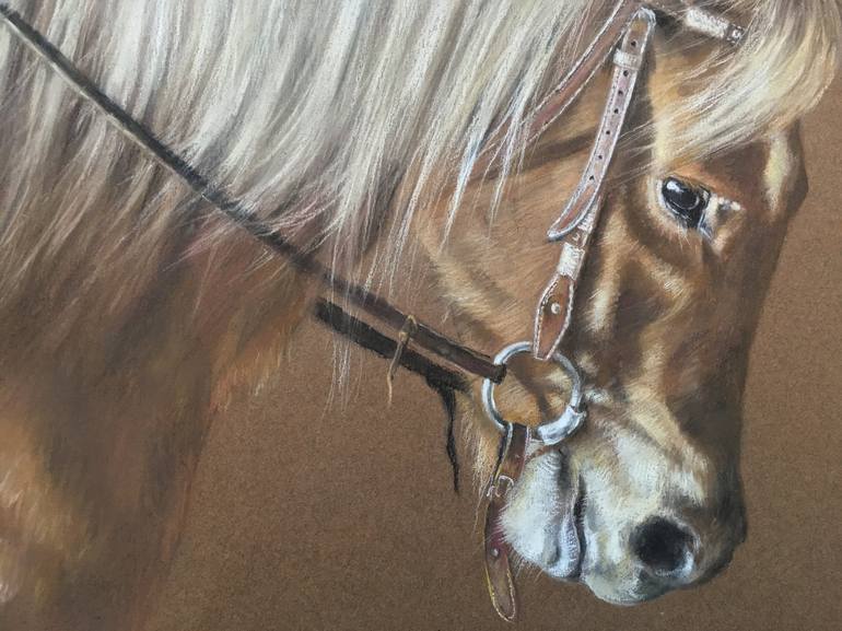 Original Realism Animal Drawing by Juan Pastor de la Puente