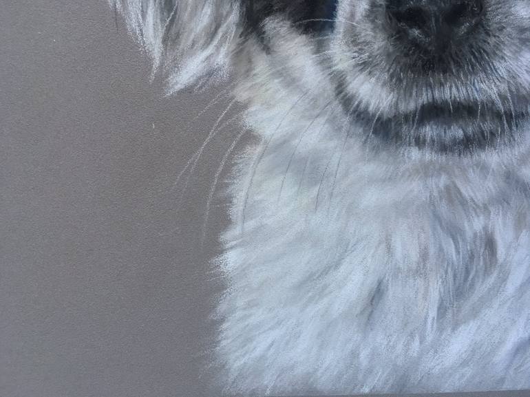 Original Realism Animal Drawing by Juan Pastor De La Puente