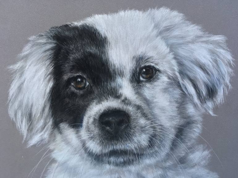 Original Realism Animal Drawing by Juan Pastor De La Puente
