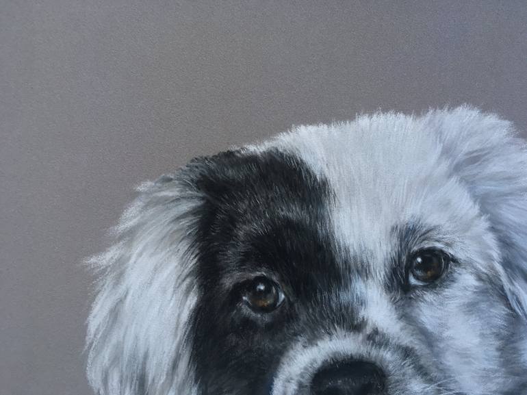 Original Realism Animal Drawing by Juan Pastor De La Puente