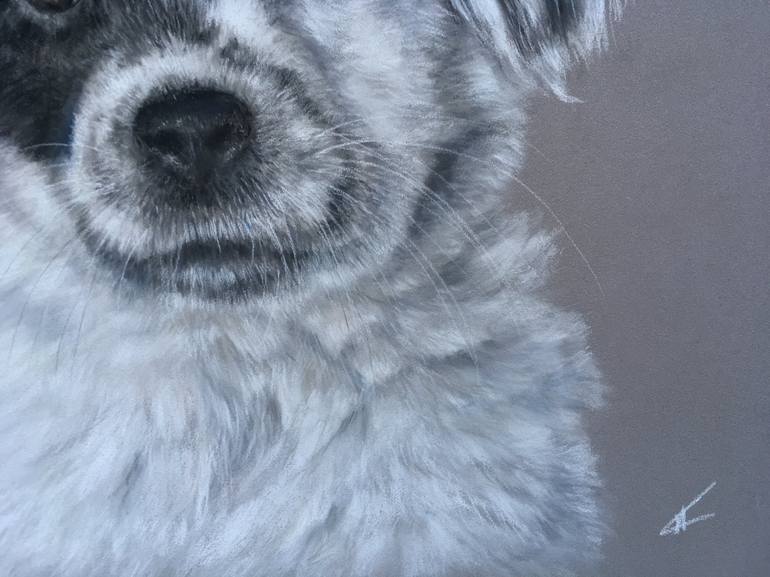 Original Realism Animal Drawing by Juan Pastor De La Puente