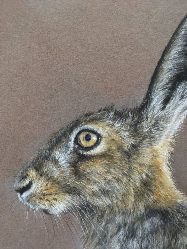 Original Realism Animal Drawing by Juan Pastor de la Puente