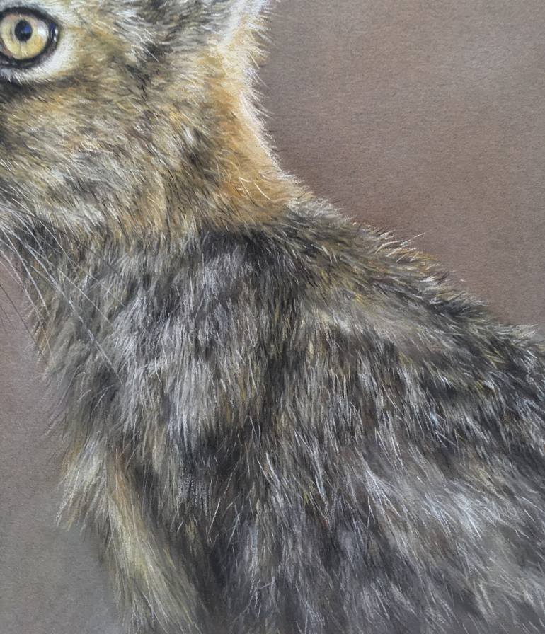 Original Realism Animal Drawing by Juan Pastor de la Puente